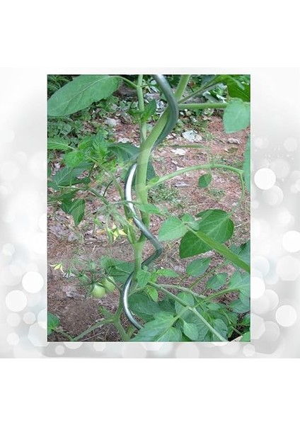 Group 10 Adet 150 cm Metal Spiral Bitki Destek Çubuğu Fidan Bağlama Teli ve Çiçek Teli modelleri