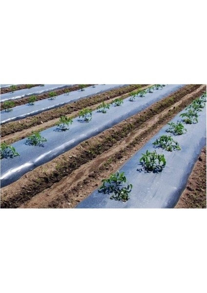 Sebze Naylonu 50 Metre Eni 120 cm Malç Naylonu Sebze Örtüsü Malç Örtüsü Siyah Domates Karpuz Naylonu fırsatları