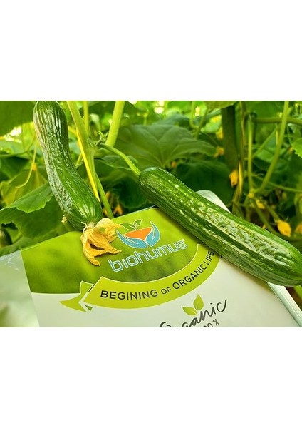 Için, Biohumus Organik Gübre, Organik Sertifikalı, Kök Geliştirici, Toprak Düzenleyici, Bitki Besleyici, 25 kg (1) fırsatları