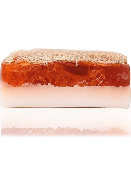 Doğal Kabak Lifli Eşek Sütü Sabunu fiyatları