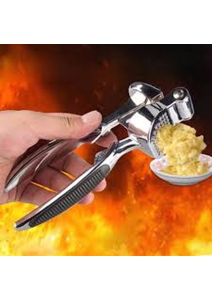 Lüks Metal Sarımsak Zencefil Ezici