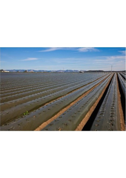 Sebze Naylonu 80 Metre Eni 120 cm Malç Naylonu Sebze Örtüsü Malç Örtüsü Siyah Domates Karpuz Naylonu fiyatları