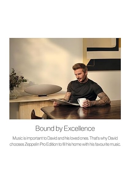 & Wilkins Zeppelin Pro Edition Space Grey Hoparlör fiyatları