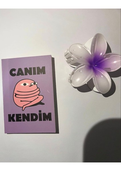 Hediye Kutusu modelleri