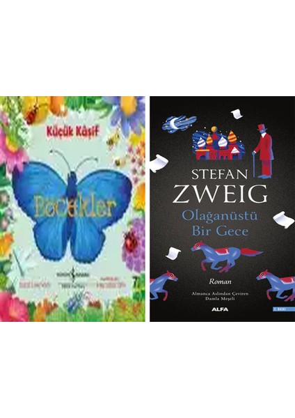 Küçük Kâşif – Böcekler + Olağanüstü Bir Gece