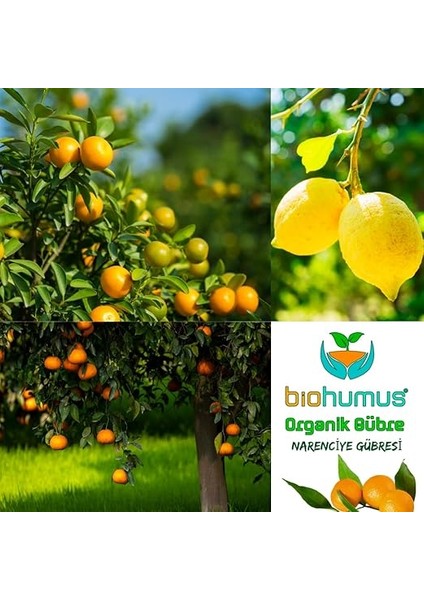 Narenciye Için, Organik Gübre, Organik Sertifikalı, Kök Geliştirici, Toprak Düzenleyici, Bitki Besleyici 25 kg (1) fiyatları