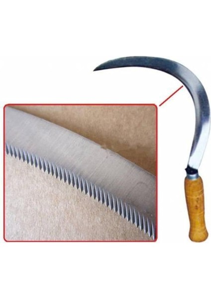 Bahçe Bağ Budama Makası Ağaç Dal Kesme Testeresi Ot Orak Tırpan Bileme Taşı indirimleri