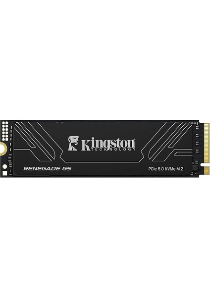 Renegade G5 2tb 14700-14000MB/S M2 Nvme Gen5 SSD Bellek SRNG2S/2T0