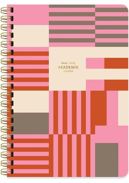 Color 17 * 24 Spiralli Akademik Ajanda - Enerji