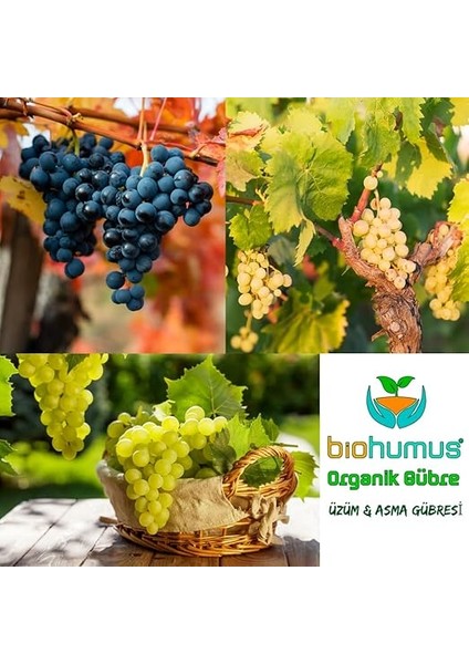 Sultaniye Üzüm ve Asma Için, Organik Gübre, Organik Sertifikalı, Kök Geliştirici, Toprak Düzenleyici, Bitki Besleyici 25 kg (1) modelleri