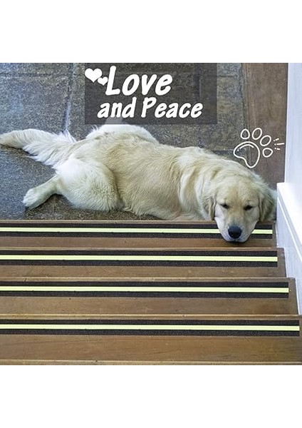 Kaymaz Yapışkan Bant, Kaymaz Güvenlik Bandı, Karanlıkta Parlayan Gelişmiş Sap ve Kaymaz Güvenlik Merdiveni, Iç ve Dış Mekan, 5 cm x 5 M fiyatları