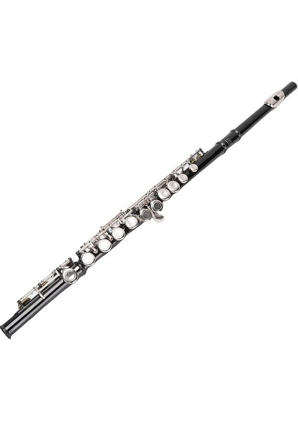 Flüt, 16 Tuşlar Yeni Başlayanlar Için Öğrenciler Için Yetişkinler Için Açık Delik Flüt, Taşıma Çantası ve Temizlik Kiti ile Profesyonel Flüt Alet Kiti, Yeni Başlayanlar Için