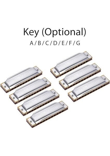 1072-A Folkmaster Standart 10 Delikli Diyatonik Armonika Yeni Başlayanlar Için 20 Tonluk Anahtar modelleri