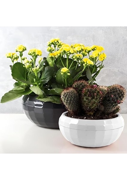 Aranjman Saksı Dekoratif Parlak Plastik Hazneli Arajman Saksısı fırsatları