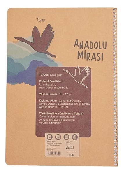Anadolu Mirası Spiralli Defter, A4, 120 Yaprak, 70G Kağıt, Çizgili, Dayanıklı Kapak, Kolay Açılan Spiral Cilt, Asorti Renkler fiyatları