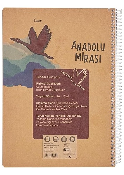 Anadolu Mirası Spiralli Defter, A4, 120 Yaprak, 70G Kağıt, Çizgili, Dayanıklı Kapak, Kolay Açılan Spiral Cilt, Asorti Renkler modelleri