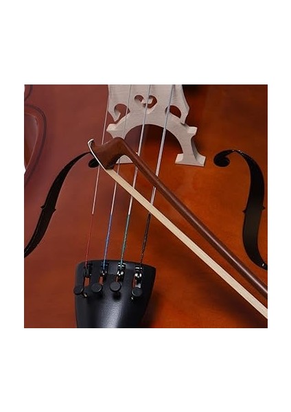 Dengeli Sekizgen Brezilya Ağacı 4/4 Viyolonsel Yay At Kılı Yuvarlak Çubuk Abanoz Kurbağa modelleri