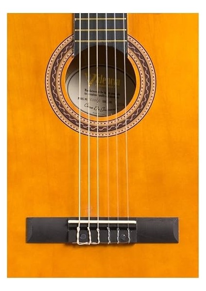 Klasik Gitar 4/4 Kılıf Pena fiyatları