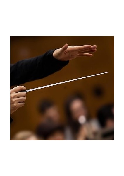 Müzik Batonu, Profesyonel Orkestra Şefi Baton, Saplı Konser Şefi Çubuğu (Siyah), Hafif, 35,5 cm Uzunluğunda, Müzisyenler ve Orkestralar Için Ideal modelleri