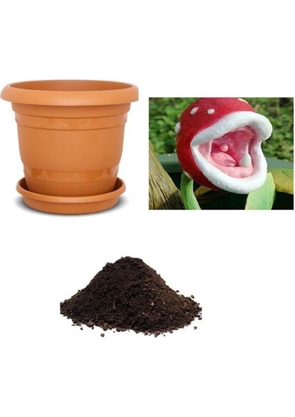 Look Ithal Sinek Kapan Bitki Çiçeği Tohumu Ekim Seti TH-DSHNLLKSET047