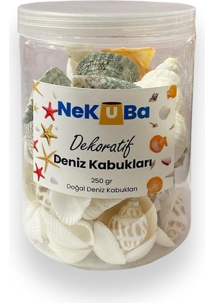 Akvaryum, Teraryum,saksı, Süsleme Için Karışık Dekoratif Doğal Deniz Kabukları, 250GR modelleri