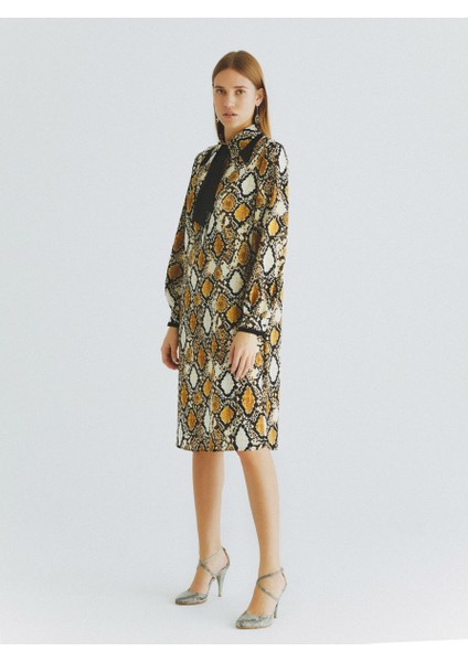 Boyun Ve Yaka Detaylı Desenli Günlük Elbise Standart Renk K2011065_089