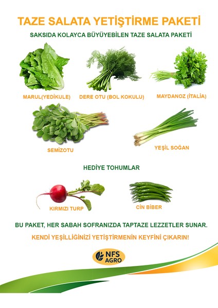 agro taze salata yetiştirme tohum seti