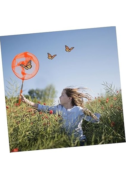 Kepçesi Havuz Kepçesi Kelebek Kuş Balık Yakalama Kepçesi modelleri