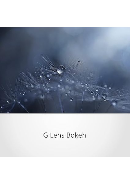 SEL90M28G I 90MM F2.8 G Master Makro Lens (Sony Eurasia Garantili) fiyatları