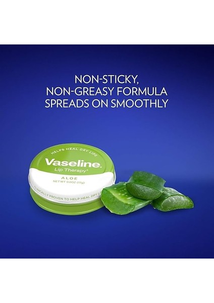 Lıp Balm Therapy Jel Aloe Vera 20GR fiyatları