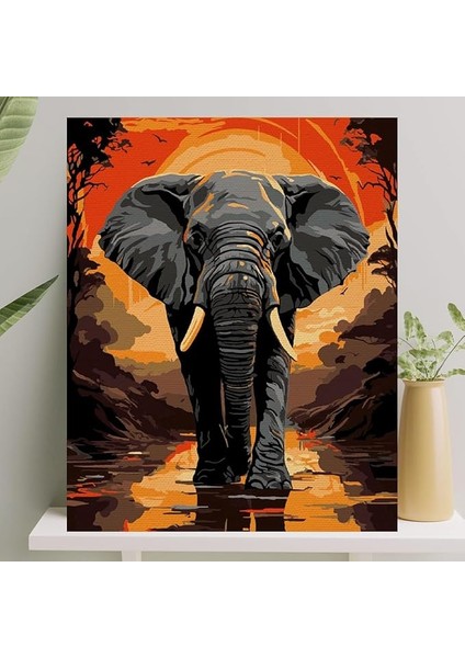 Hobi Sanat Sayılarla Boyama Tuval Seti Fırça Boya Dahil (Çıtalı) 40X50 cm - Fil