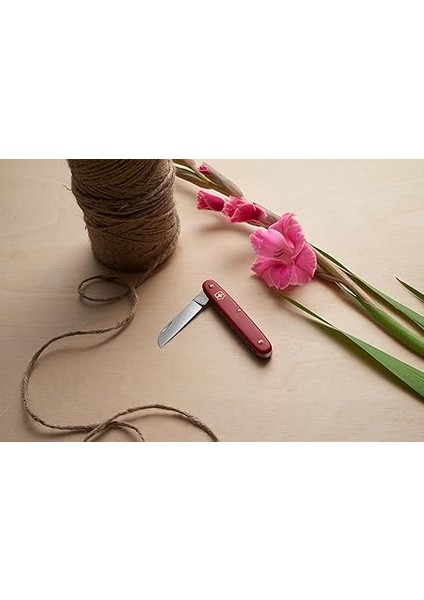 Aşı Çakısı indirimleri