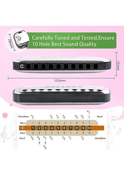 Top Junior Harmonika, Pürüzsüz Yuvarlak Kenar 10 Delikli C Anahtar Mavileri Ağız Organ Harmonika Çocuklar ve Çocuklar Için Hediye Olarak, Kumaş Bez Kese, Renkli Kutu, Siyah indirimleri