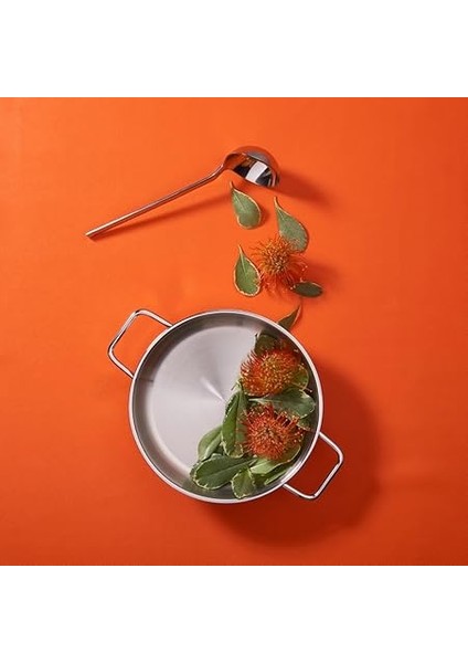 Modena 24 cm Paslanmaz Çelik Basık Tencere fiyatları