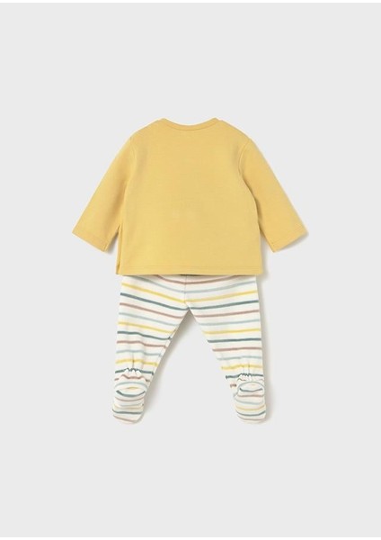 Erkek Bebek Takım 2566 0/18 Ay fiyatları