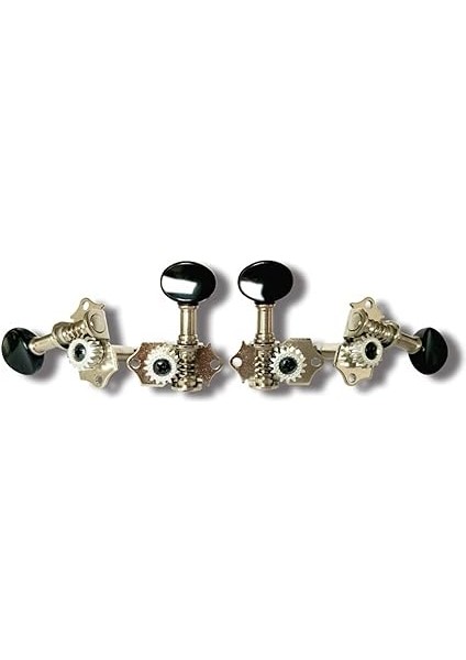 Ukulele Burgusu Ukulele Kulak modelleri