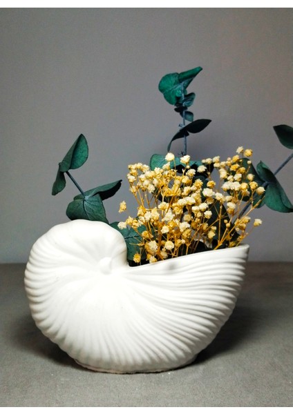 Dekoratif Deniz Kabuğu Şeklinde Seramik Vazo