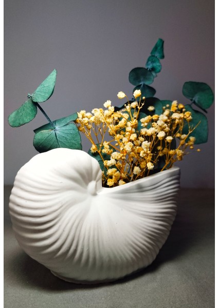 Dekoratif Deniz Kabuğu Şeklinde Seramik Vazo fiyatları