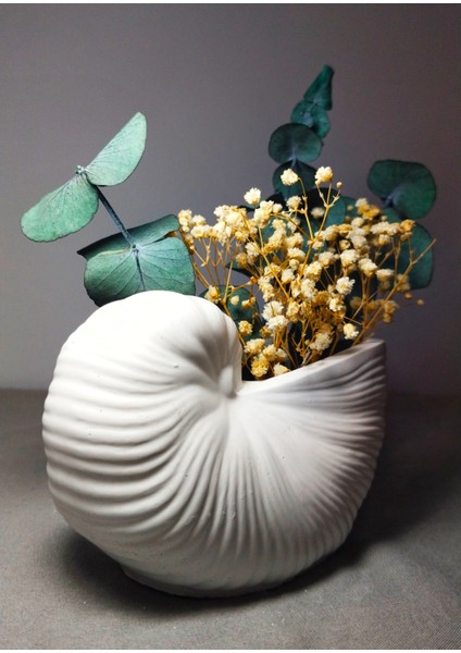 Dekoratif Deniz Kabuğu Şeklinde Seramik Vazo modelleri