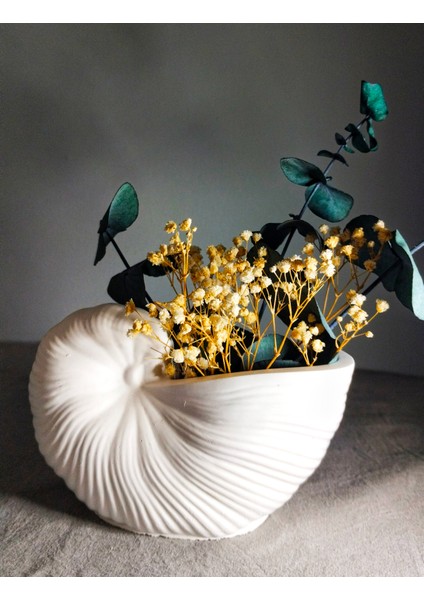 Dekoratif Deniz Kabuğu Şeklinde Seramik Vazo fırsatları