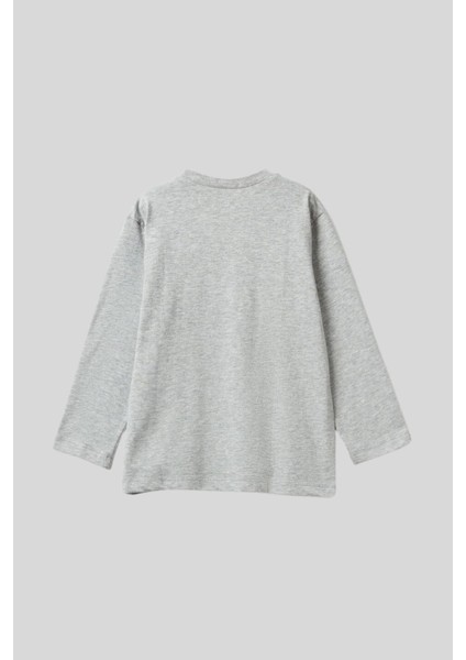 Erkek Çocuk Uzun Kol Tshirt 10K5 1/6 Yaş fiyatları