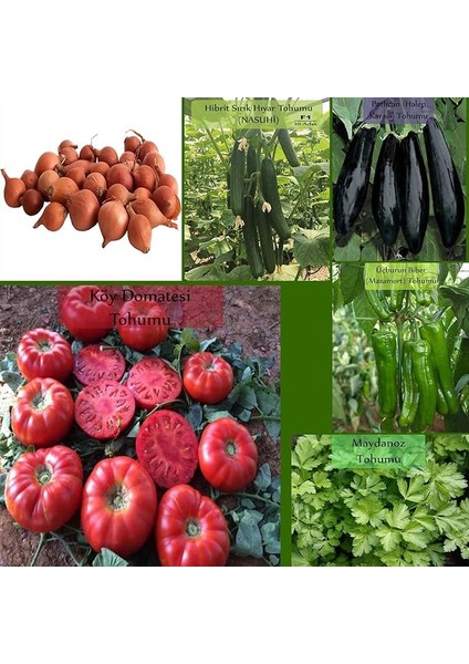 Organik 6 Paket Tohum NO18 Arpacık Soğan 1 Kg. Iska Hibrit Salatalık Patlıcan Köy Domatesi Biberi Tohumu