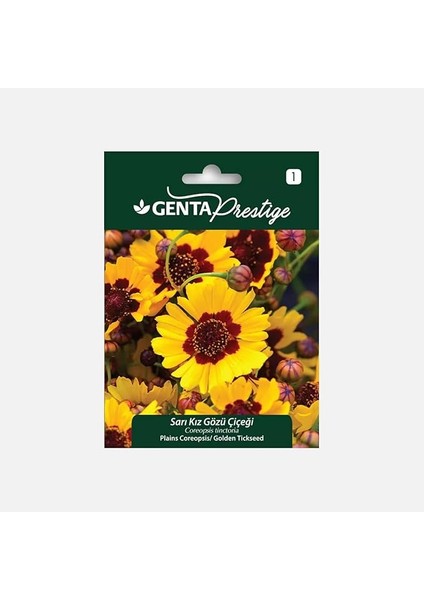 Prestige Sarı Kız Gözü Çiçeği Tohumu
