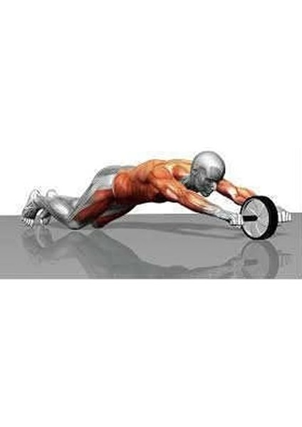 Ab Wheel Karın Egzersiz ve Fitness Tekerleği Siyah-Kırmızı TGK744 fiyatları