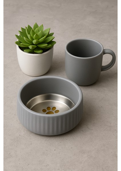 Organik Seramik Mama Kabı Kimyasal Içermez Paslanmaz Çelik Iç Kap 250ML modelleri