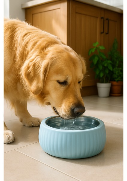 Mavi Organik Seramik Mama Kabı Paslanmaz Çelik Iç Kap, 250ML Su Kabı fiyatları