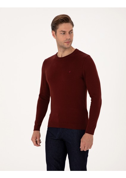 Erkek Bordo Slim Fit Bisiklet Yaka Basic Triko Kazak 50314192-VR014 modelleri