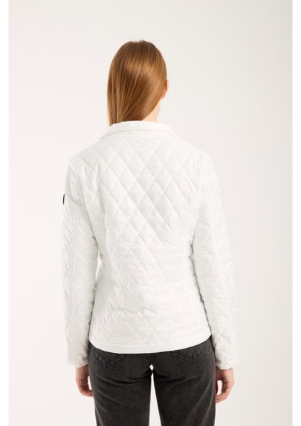 Kadın Baklava Desen Mevsimlik Mont – Hafif Dolgulu, Dik Yaka, Fit Siluet 8787 modelleri