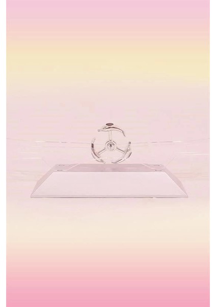 Dekoratif Masa Üstü Obje Manyetik Kinetik Orbital Dönen Yunuslar fırsatları