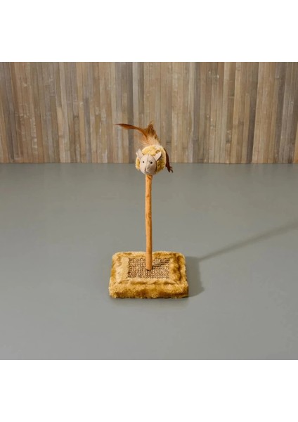 Sesli Oyuncaklı Kedi Tırmalama Tahtası fırsatları